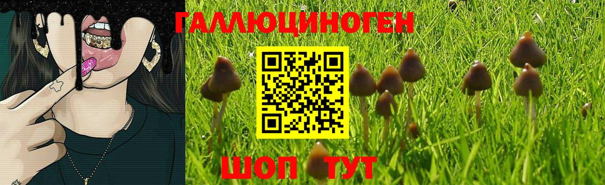 Псилоцибиновые грибы мухоморы  Вход с VPN  Ухта 